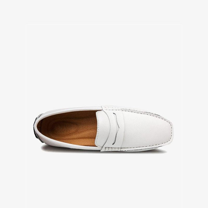 Leather Driving Shoes - ARNO CONTI